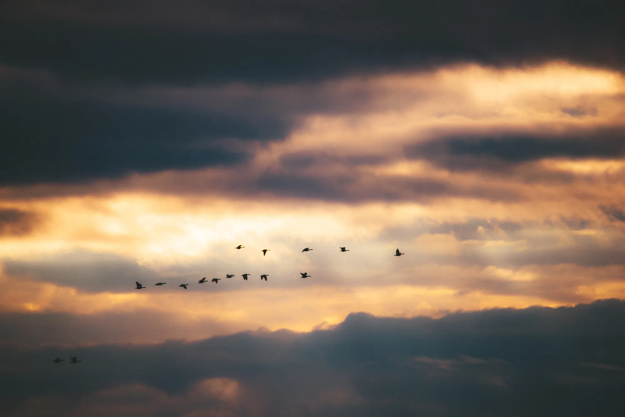 4f7df6780470914a8f67f817b5b198e55a74c161