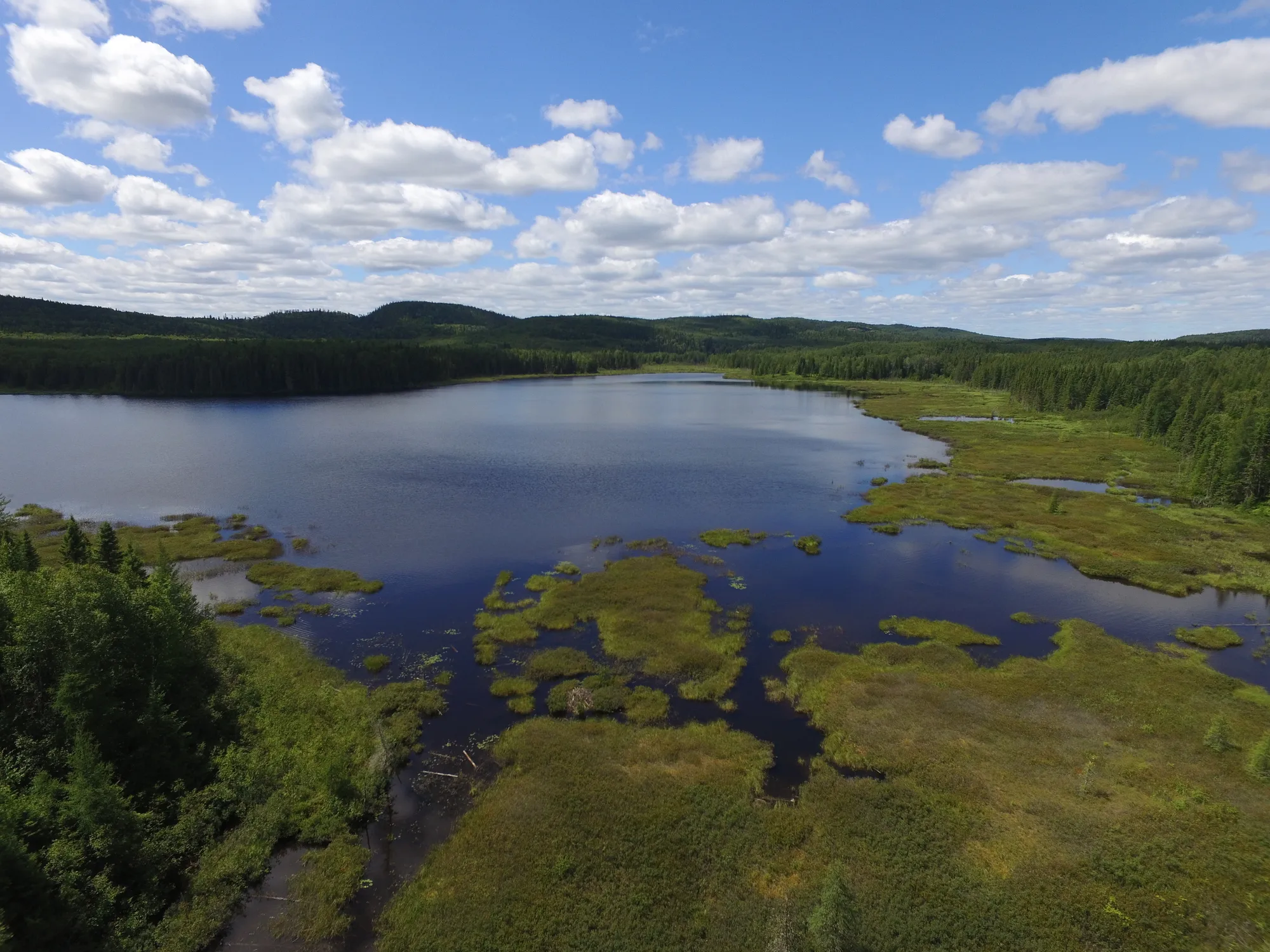 5337020c9ddb67e02f822a1bcd4b013c44eaf5e3