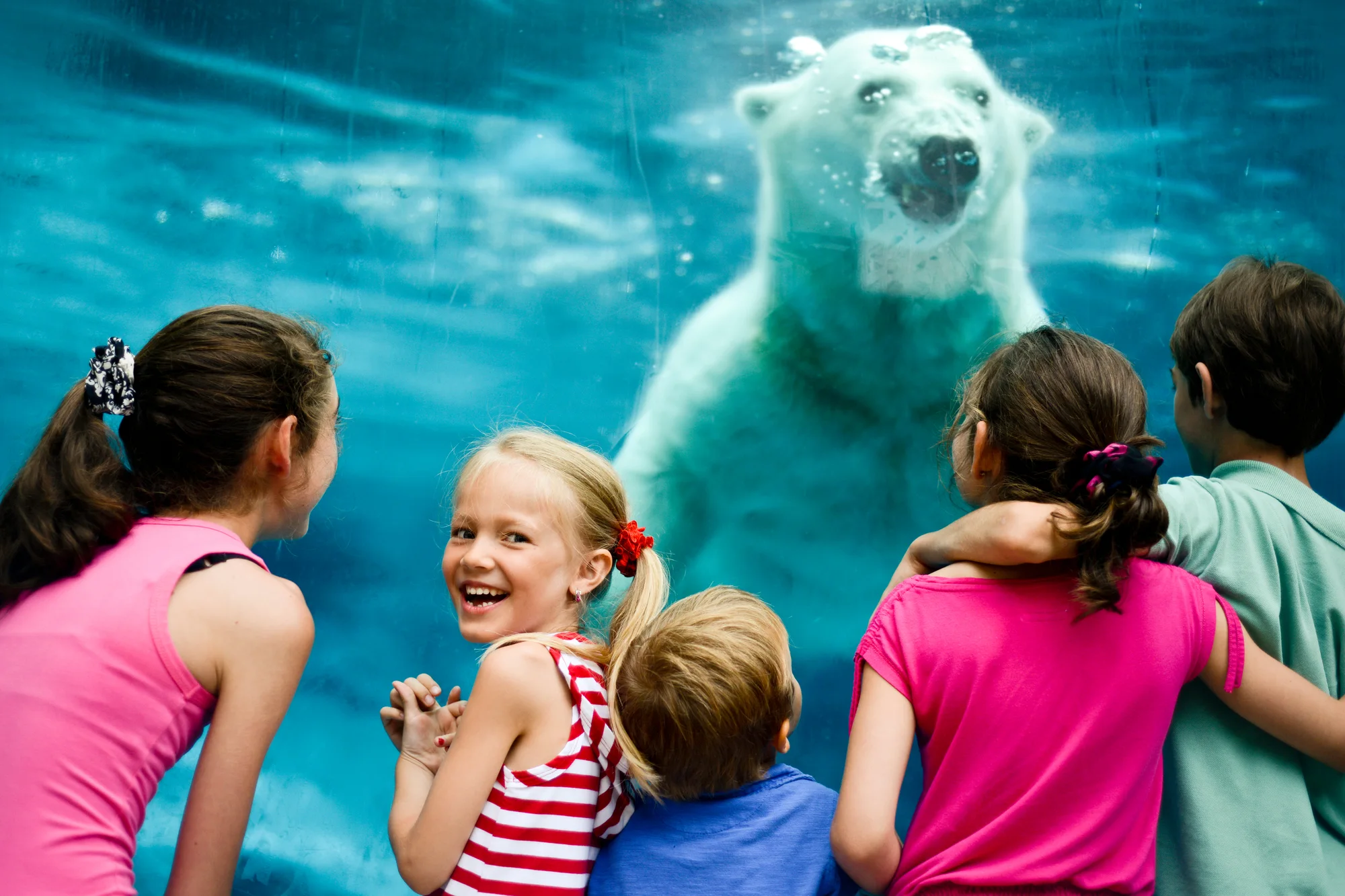 E6723713ce08dd5208ccc930bd027324fe0063e5