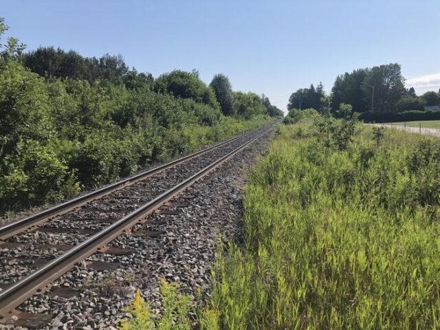 full_stgedeon3__750x550_q90_subsampling-2