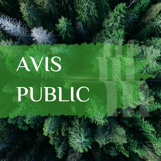 img_avis_foret__750x550_q90_subsampling-2