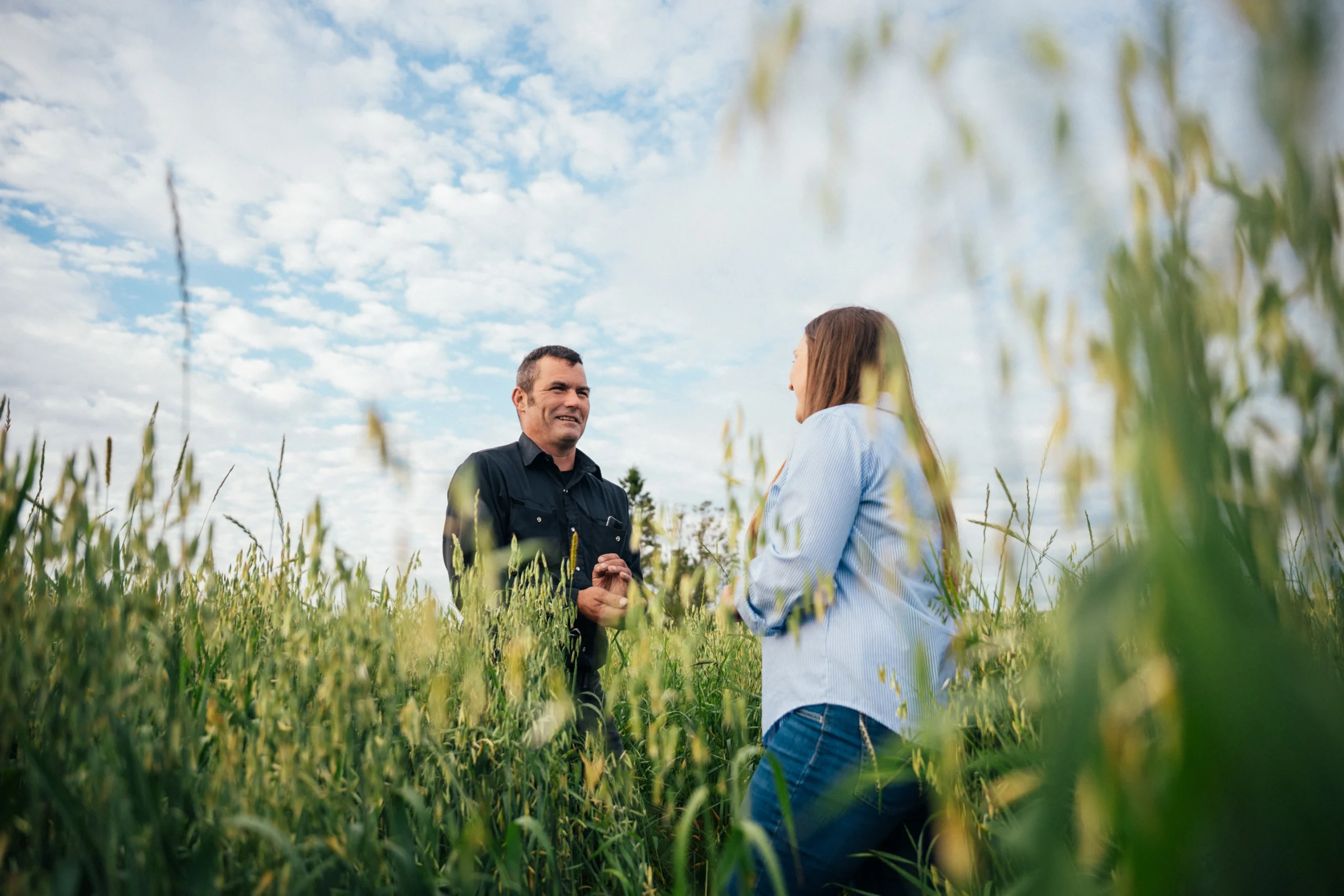 CAN 08212025 MRC DDR 3909 BD