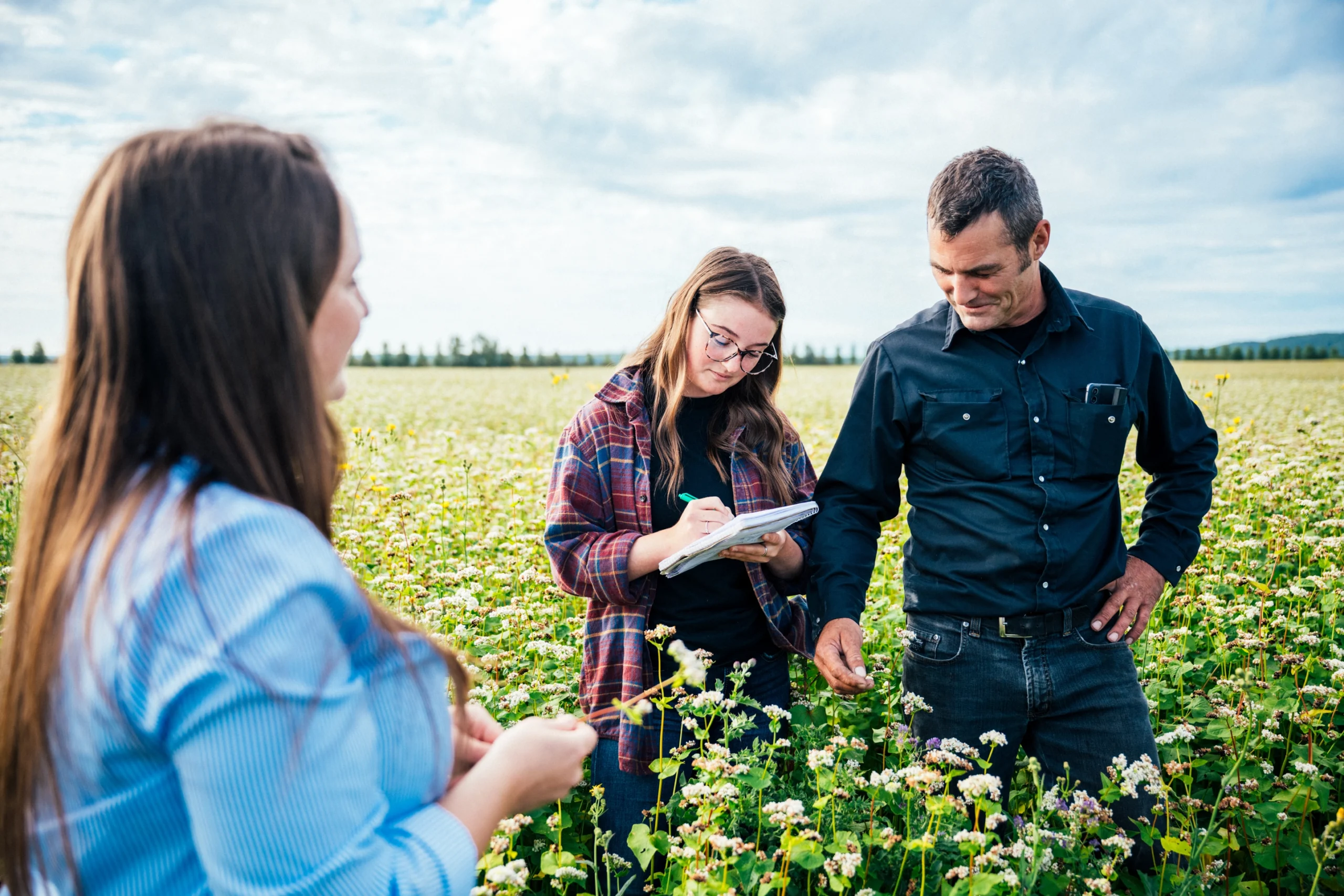 CAN 08212025 MRC DDR 4046 BD