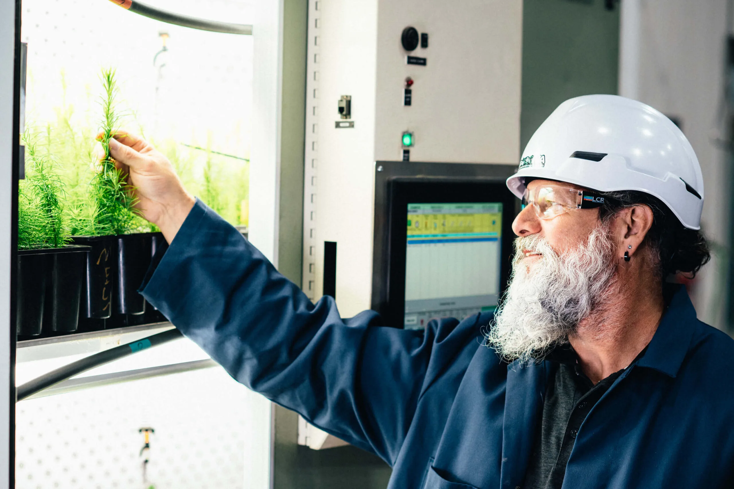 CAN 08272025 MRC DDR 8760 BD