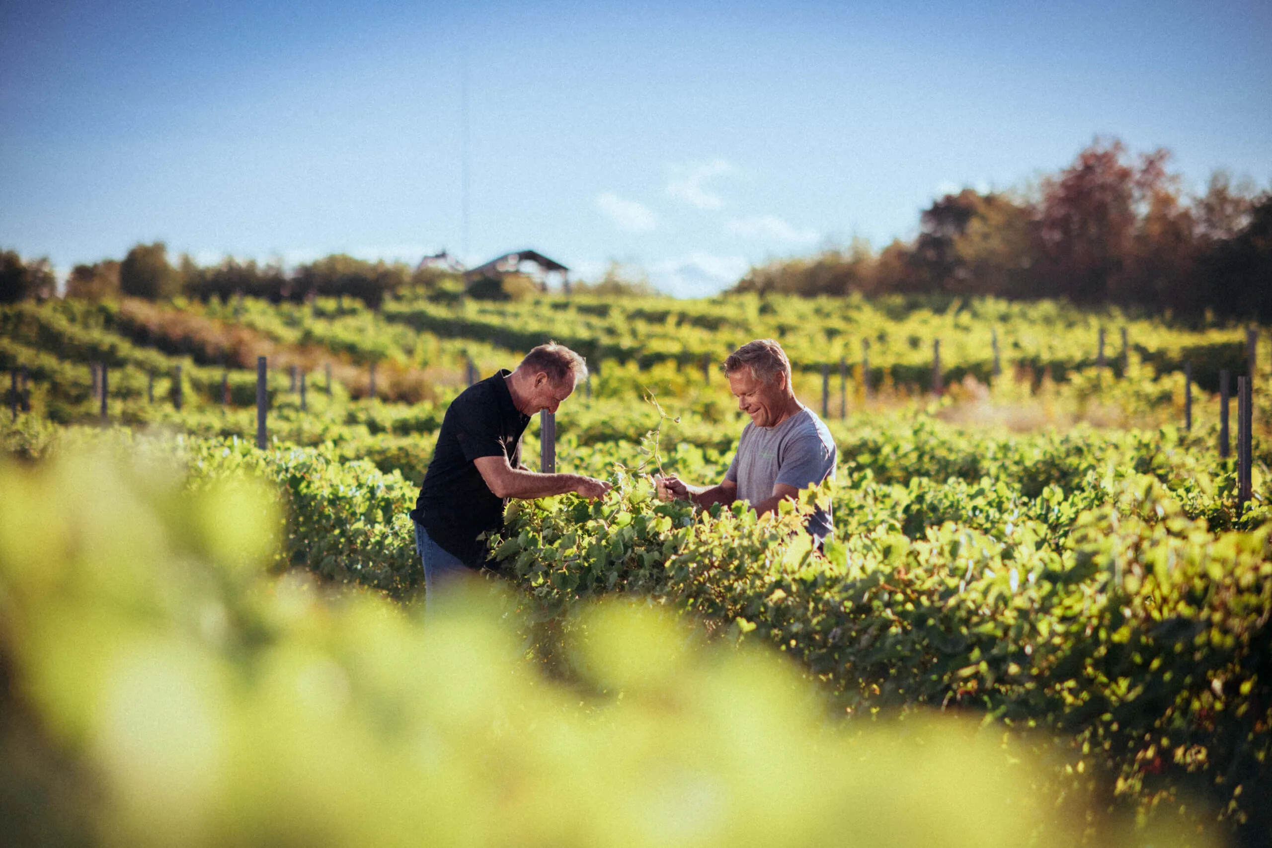 CAN 09232025 MRC DDR 7075 BD