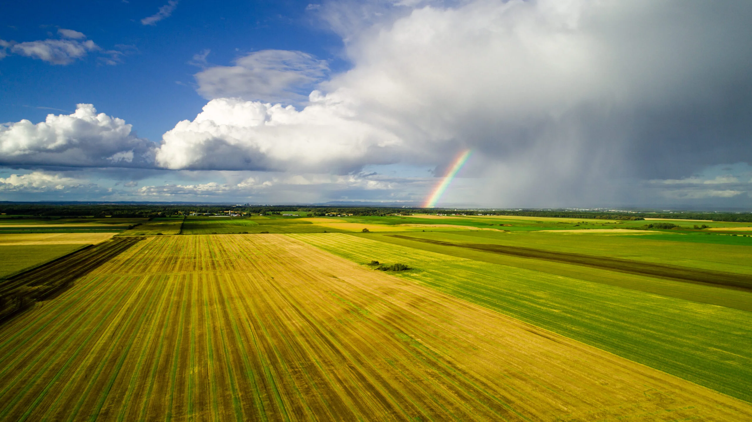 Copie De Au.lac.champ.Automne(4)