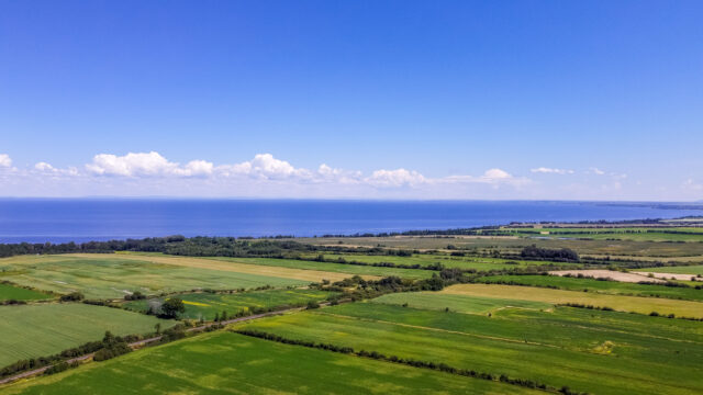 DCIM100MEDIADJI 0375.JPG