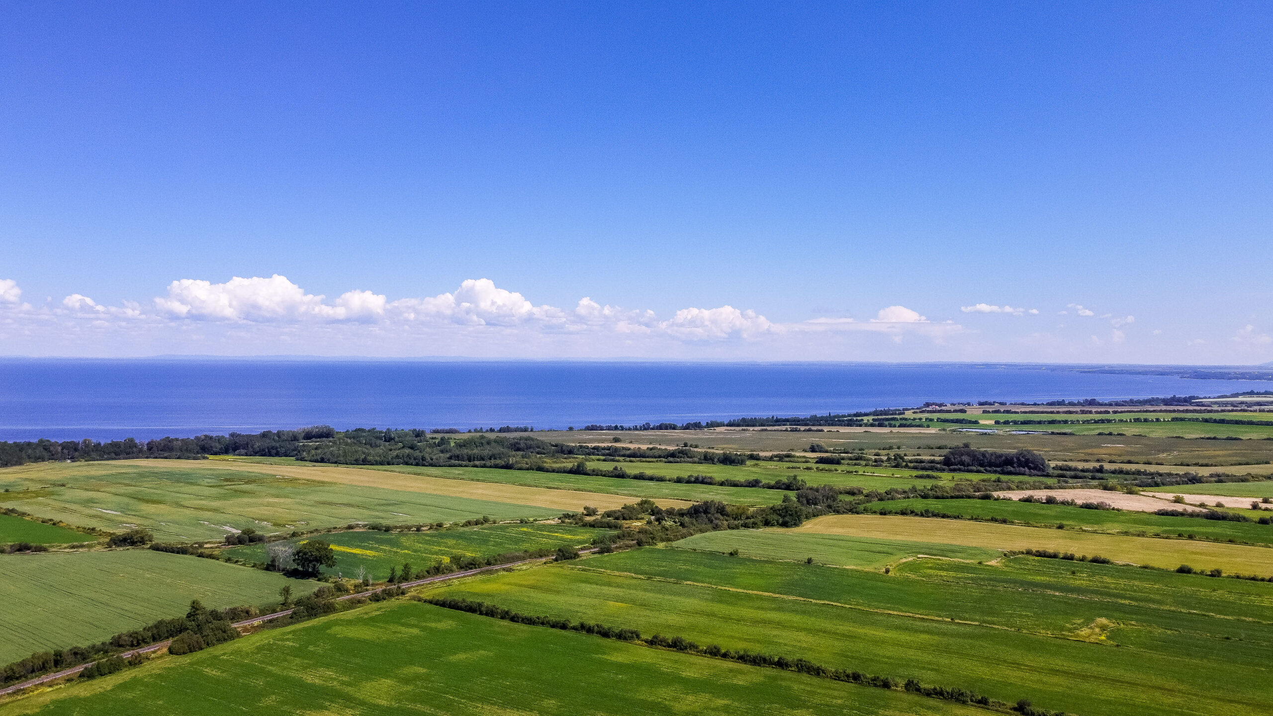 DCIM100MEDIADJI 0375.JPG