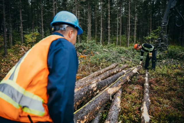 ZCAN 08272025 MRC DDR 7094 BD 5 11zon